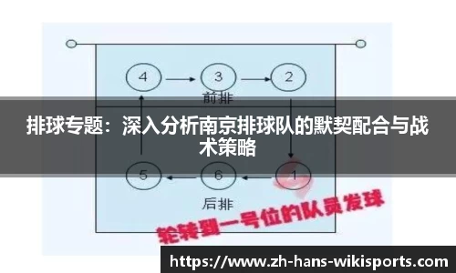 维基体育首页