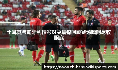 维基体育首页